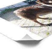 Rotschäfer-Liebe Fotodruck (Ecke)