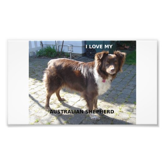 Rotschäfer-Liebe Fotodruck (Vorne)