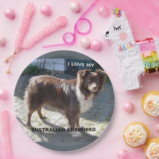 Rotschäfer-Liebe Pappteller (Party)