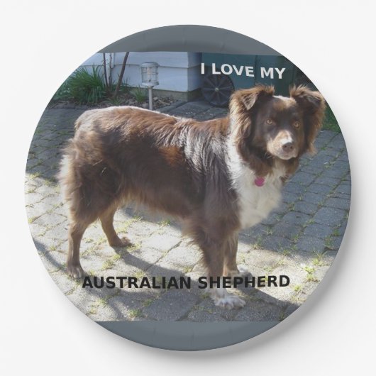 Rotschäfer-Liebe Pappteller (Vorderseite)