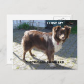 Rotschäfer-Liebe Postkarte (Vorne/Hinten)