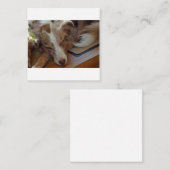 Rotschäfer Mitteilungskarte (Vorne/Hinten)