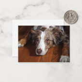 Rotschäfer Mitteilungskarte (Vorderseite/Rückseite Beispiel)