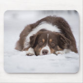 Rotschäfer Mousepad (Vorne)