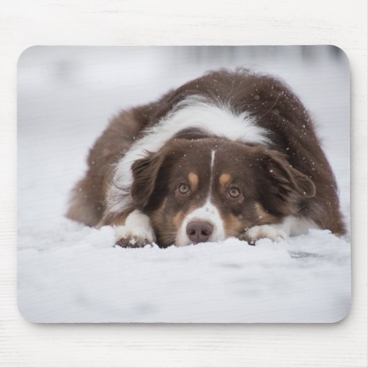 Rotschäfer Mousepad (Vorne)