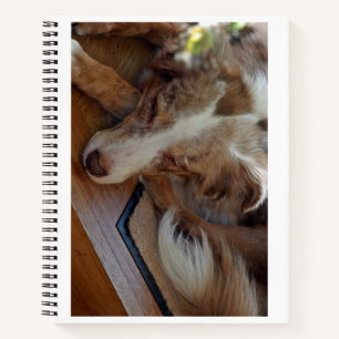 Rotschäfer Notizblock