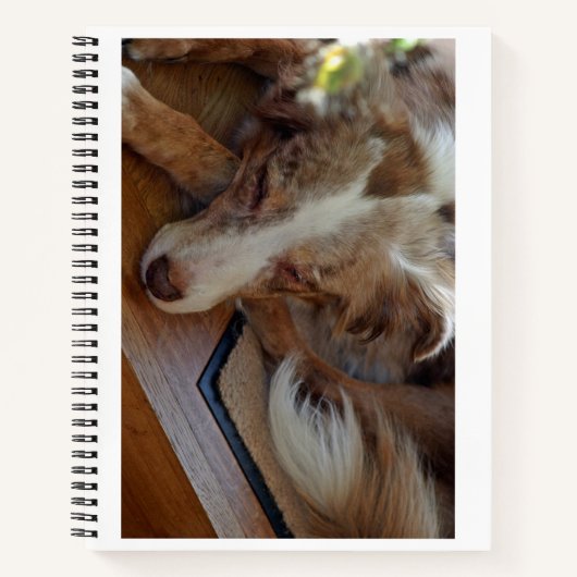 Rotschäfer Notizblock (Vorderseite)