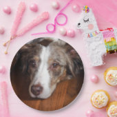 Rotschäfer Pappteller (Party)