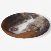 Rotschäfer Pappteller (Schrägansicht)