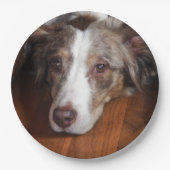 Rotschäfer Pappteller (Vorderseite)