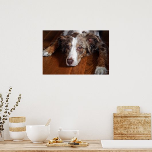 Rotschäfer Poster (Küche)