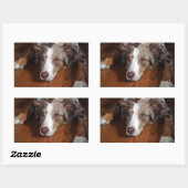 Rotschäfer Rechteckiger Aufkleber (Blatt)