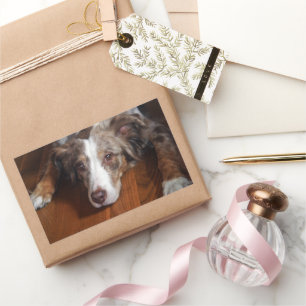 Rotschäfer Rechteckiger Aufkleber