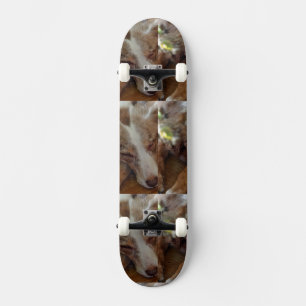 Rotschäfer Skateboard