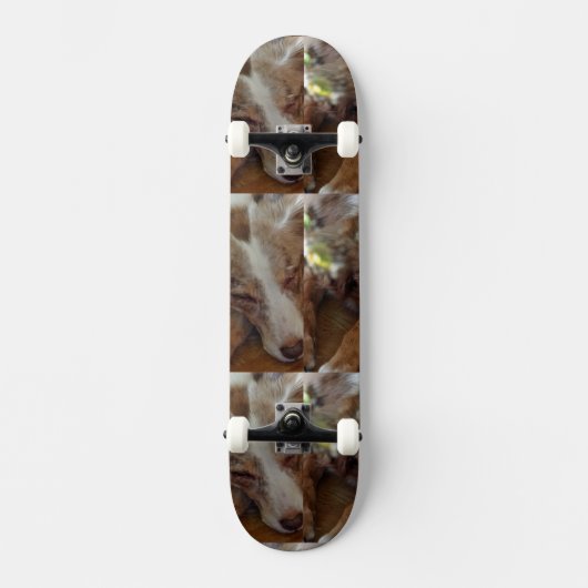 Rotschäfer Skateboard (Vorderseite)