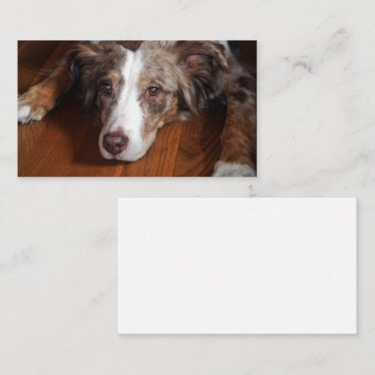 Rotschäfer Visitenkarte (Vorne/Hinten)