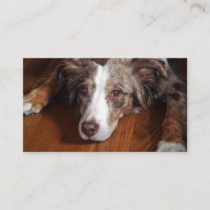 Rotschäfer Visitenkarte