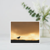 Rotschafts-Nature-Foto Postkarte (Stehend Vorderseite)