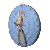 Rotschnabel Dartscheibe (Vorderseite rechts)