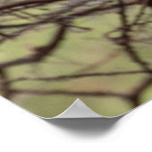 Rotschnabel-Hornbill — Sentinel der Savanne Poster (Ecke)