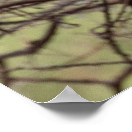 Rotschnabel-Hornbill — Sentinel der Savanne Poster (Ecke)