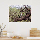 Rotschnabel-Hornbill — Sentinel der Savanne Poster (Küche)