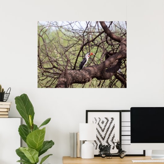 Rotschnabel-Hornbill — Sentinel der Savanne Poster (Heimbüro)
