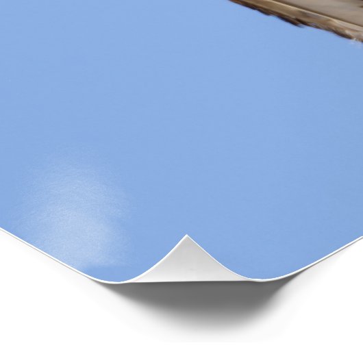 Rotschnabel Poster (Ecke)