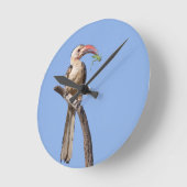 Rotschnabel Runde Wanduhr (Winkel)