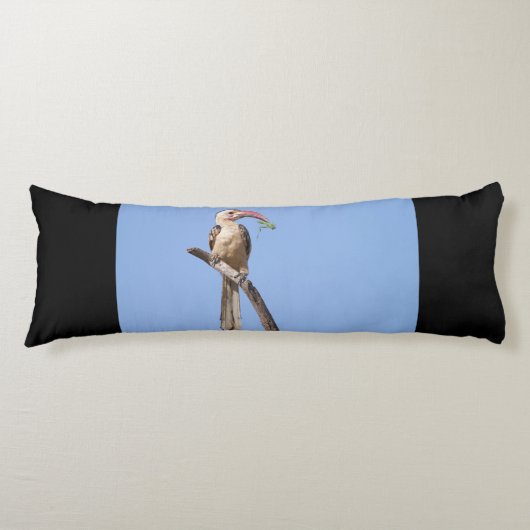 Rotschnabel Seitenschläferkissen (Vorderseite)