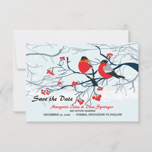 Rotschnabel-Vögel Save the Date Einladung (Vorderseite)