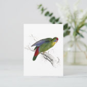 Rotschnabelparraket Postkarte (Stehend Vorderseite)