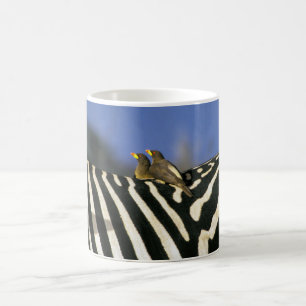 Rotschnabelspecht auf einem Zebra-Rücken - Simbabw Kaffeetasse
