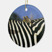 Rotschnabelspecht auf einem Zebra-Rücken - Simbabw Keramik Ornament (Links)