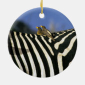 Rotschnabelspecht auf einem Zebra-Rücken - Simbabw Keramik Ornament (Hinten)