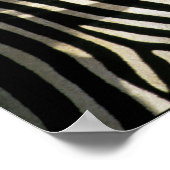 Rotschnabelspecht auf einem Zebra-Rücken - Simbabw Poster (Ecke)