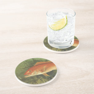 Rotschnappfisch im Ozean, Vintages Leben in der Ma Sandstein Untersetzer