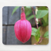 Rotschnauzel Mousepad (Vorne)