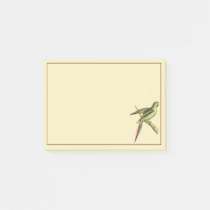 Rotschulter-Sittich Post-it Klebezettel