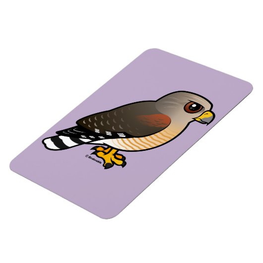 Rotschulterfalke Magnet (Linke Seite)