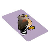 Rotschulterfalke Magnet (Rechte Seite)