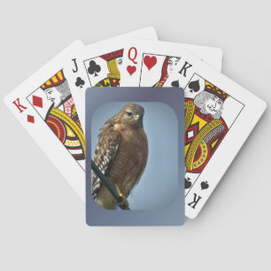 Rotschulterfalke Spielkarten