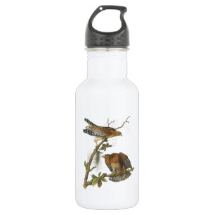 Rotschulterfalke von Audubon Edelstahlflasche