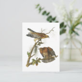 Rotschulterfalke von Audubon Postkarte (Stehend Vorderseite)