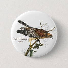 Rotschulterfalken, Audubon, Birdwatchers Vogel Button