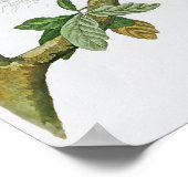 Rotschulterige Hawk John Audubon Birds of America Poster (Ecke)