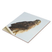 Rotschurke Fliese (Seite)