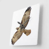 Rotschwanz-Hawk Bird Wildlife Animal Wall Clock Quadratische Wanduhr (Winkel)