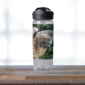 Rotschwanz-Hawk-Foto Trinkflasche