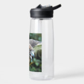 Rotschwanz-Hawk-Foto Trinkflasche (Links)